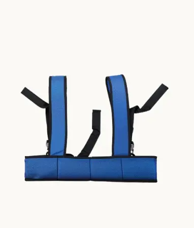 Wheelchair Safety Belt