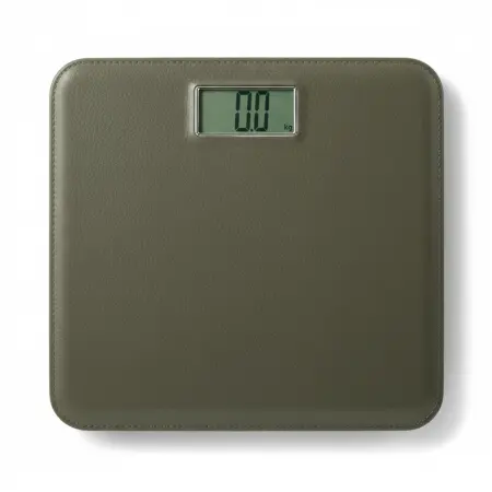 Digital Body Scale
