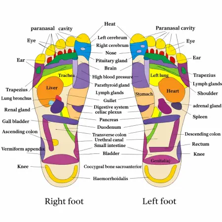 Foot Sole Acupoint Massage Slippers