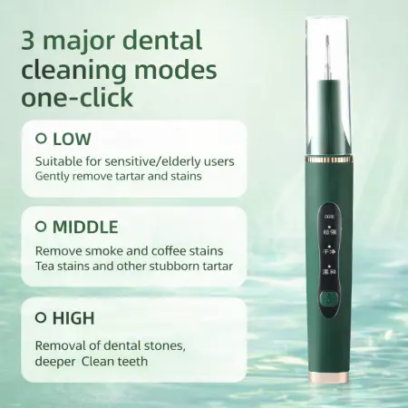 Tartar Remover for Teeth