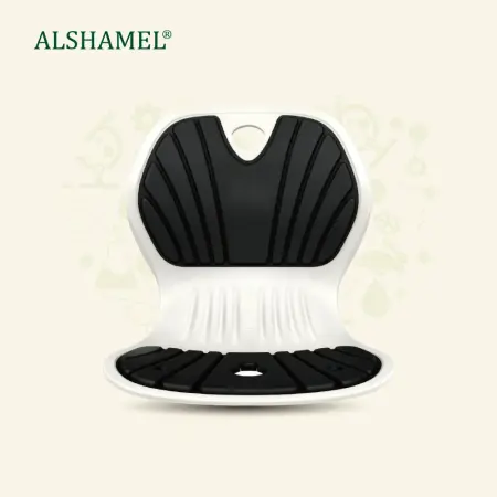 Ergonomic Chair Support