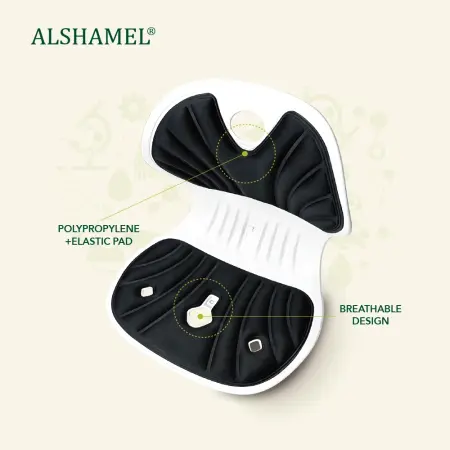Ergonomic Chair Support