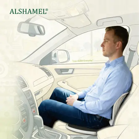 Ergonomic Chair Support