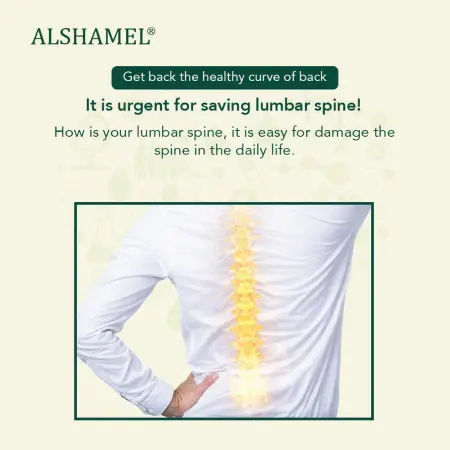 Intelligent Lumbar Back Massager