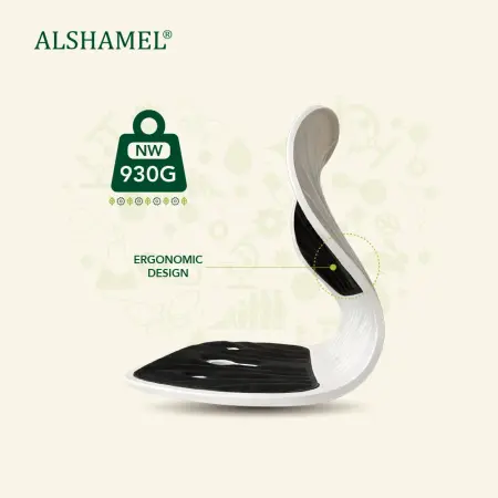 Ergonomic Chair Support