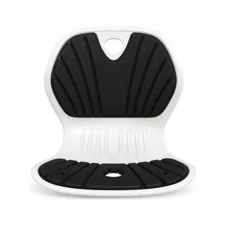 Ergonomic Chair Support