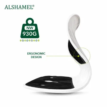 Ergonomic Chair Support