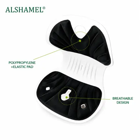 Ergonomic Chair Support
