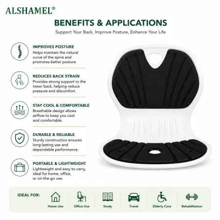 Ergonomic Chair Support