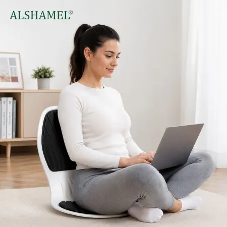 Ergonomic Chair Support