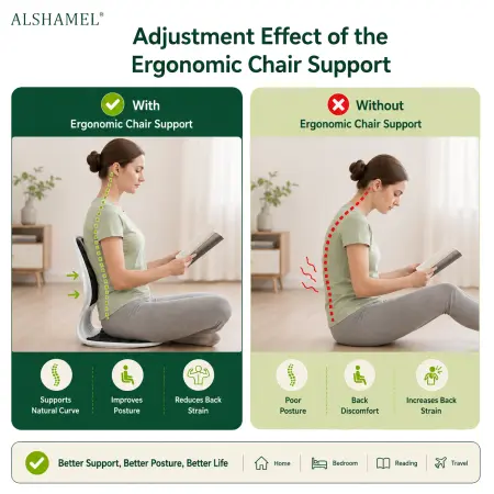 Ergonomic Chair Support