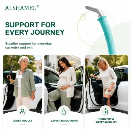 Lift Assist Handle