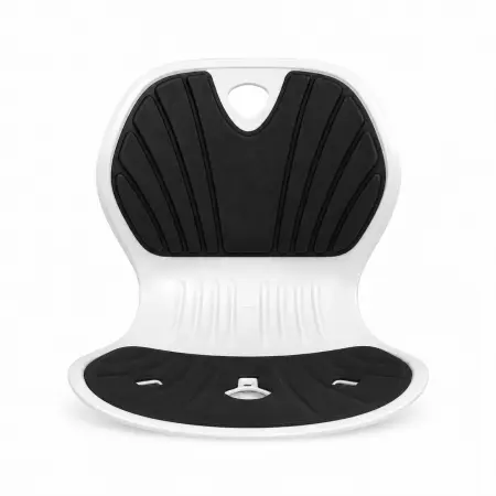 Ergonomic Chair Support