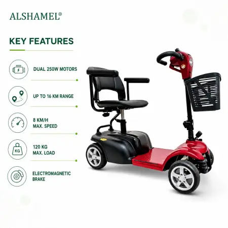 Electric Mobility Scooter