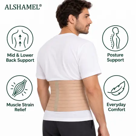 Back Support Belt