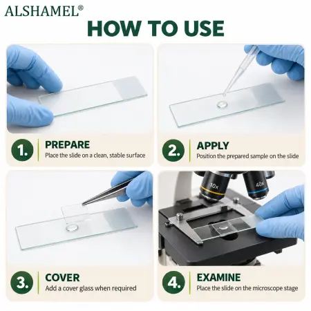 Microscope Slides (Frosted)