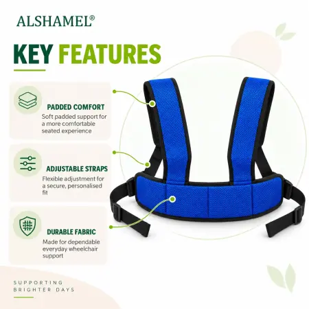 Wheelchair Safety Belt