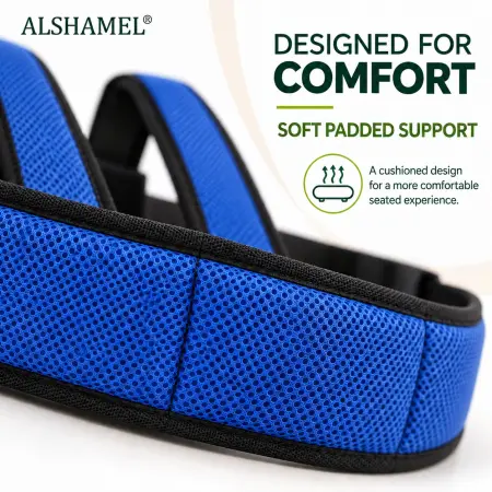 Wheelchair Safety Belt