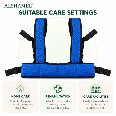 Wheelchair Safety Belt