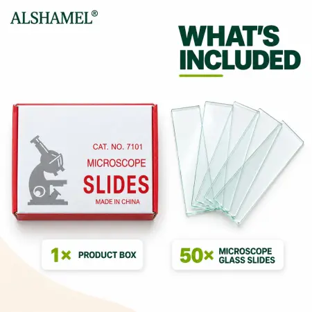 Microscope Slides (Clear)