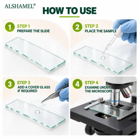 Microscope Slides (Clear)