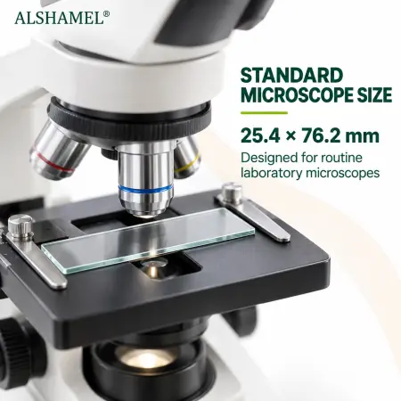 Microscope Slides (Clear)