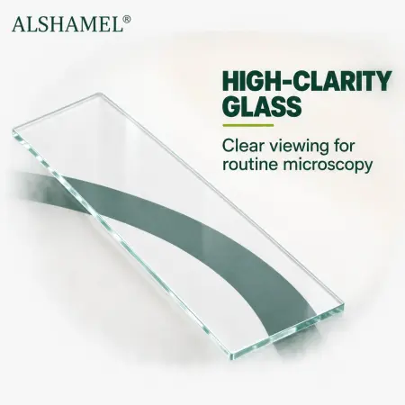 Microscope Slides (Clear)