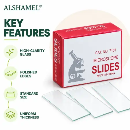 Microscope Slides (Clear)