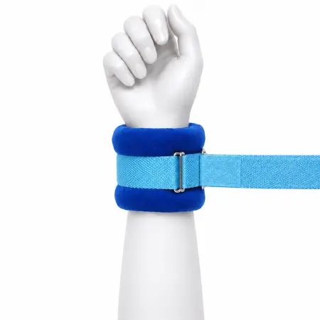 Restraint Belt