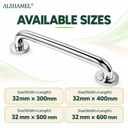 Mirror Grab Bar