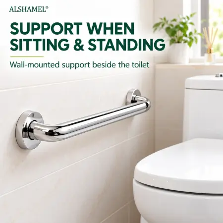 Mirror Grab Bar