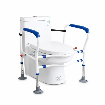 Toilet Safety Frame